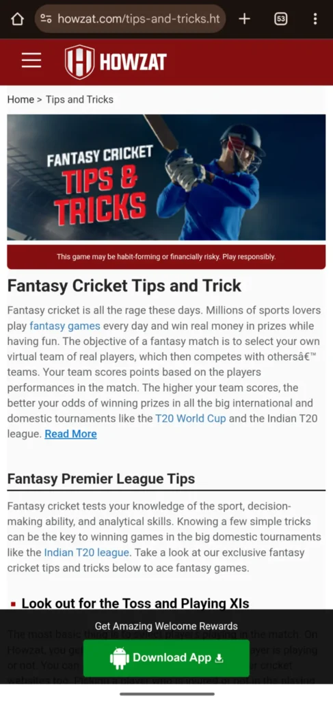 Fantasy Cricket- Tips for Winning Structure